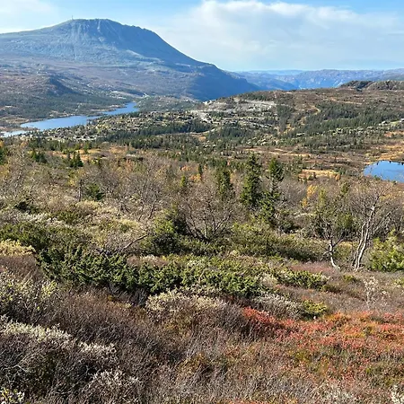 With A Great View At