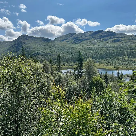 With A Great View At * Gaustablikk